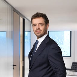 Martin  Champetier de Ribes