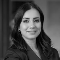 Çiğdem Bal Ilgın, Founding Partner, SSI Law Firm logo