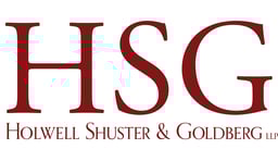Holwell Shuster & Goldberg LLP logo