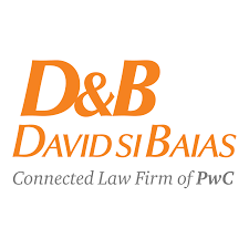 D&B David si Baias  logo